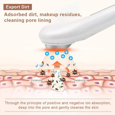 Home Facial Beauty Instrument Maxum